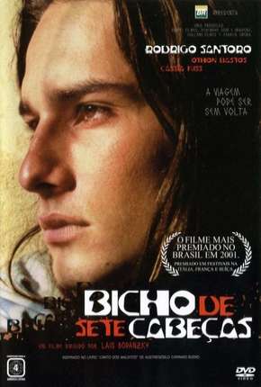 Capa do Filme Bicho de Sete Cabeças (2001) – pôster oficial