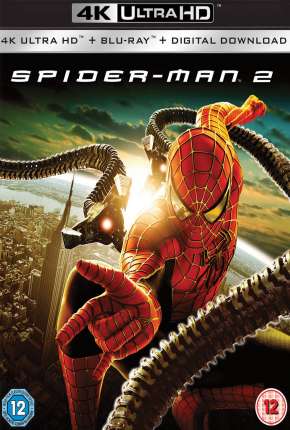 Capa do Filme Homem-Aranha 2 4K (2004) – pôster oficial