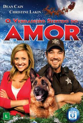 Capa do Filme O Verdadeiro Sentido do Amor (2014) – pôster oficial