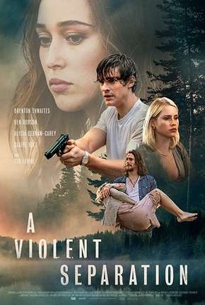 Capa do Filme A Violent Separation - Legendado (2019) – pôster oficial