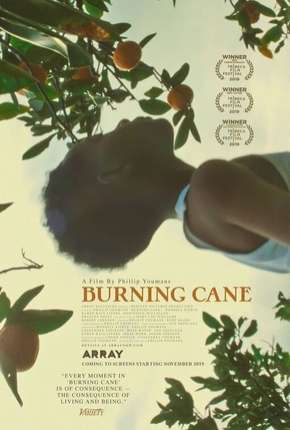 Capa do Filme Burning Cane - Legendado (2019) – pôster oficial