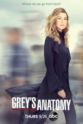 Capa do Série A Anatomia de Grey - Greys Anatomy - 16ª Temporada (2019) – pôster oficial
