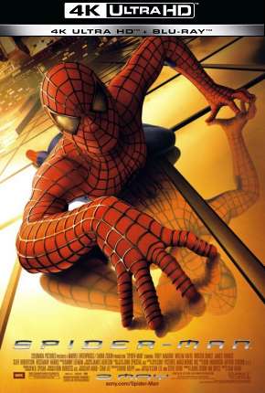 Capa do Filme Homem-Aranha - Trilogia - 4K (2002) – pôster oficial