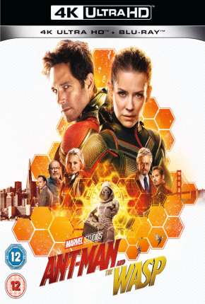 Capa do Filme Homem-Formiga e a Vespa 4K (2019) – pôster oficial