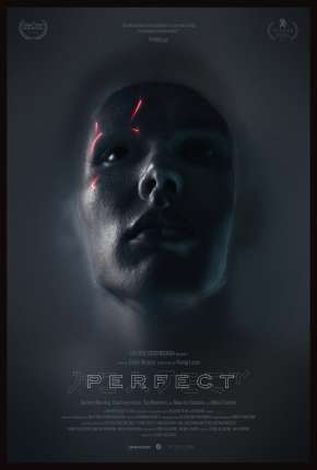 Capa do Filme Perfect - Legendado (2020) – pôster oficial