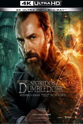 Capa do Filme Animais Fantásticos - Os Segredos de Dumbledore 4K (2022) – pôster oficial
