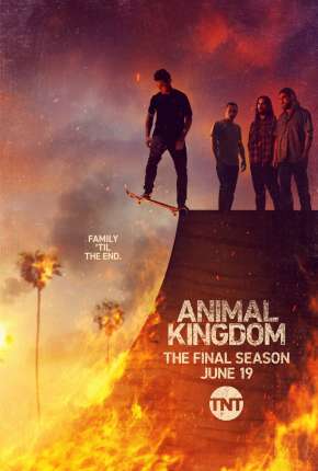 Capa do Série Animal Kingdom - 6ª Temporada Legendada (2022) – pôster oficial