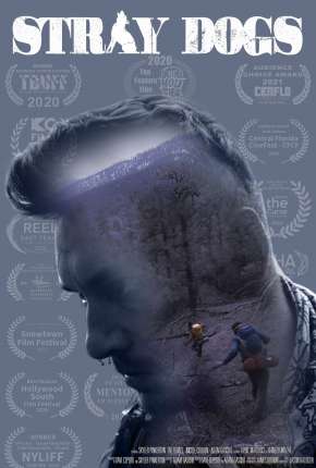Capa do Filme Stray Dogs - Legendado (2021) – pôster oficial