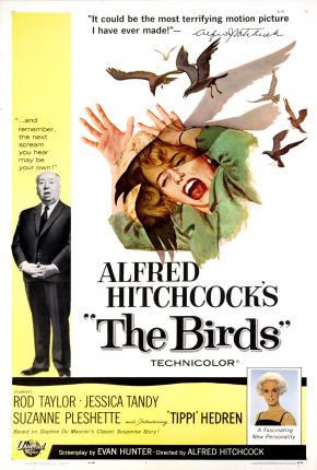 Capa do Filme Os Pássaros / The Birds (1963) – pôster oficial