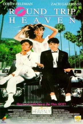 Capa do Filme A Garota dos Meus Sonhos (1992) – pôster oficial