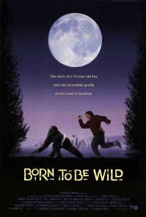 Capa do Filme Katie, uma Garota da Pesada (1995) – pôster oficial