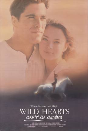 Capa do Filme Mergulho em Uma Paixão (1991) – pôster oficial