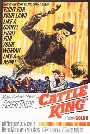 Capa do Filme Pistolas do Sertão / Rios de Aventura (1963) – pôster oficial