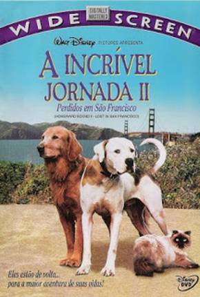 Capa do Filme A Incrível Jornada 2 - Perdidos em São Francisco (1996) – pôster oficial
